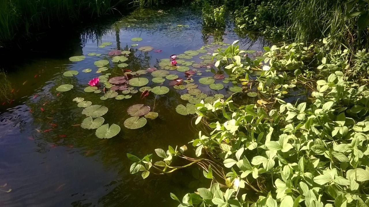 Vakantiehuisje Achter Odiliapeel 외부 사진